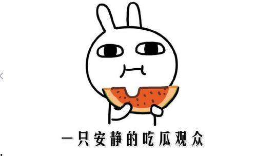 吃瓜在线什么意思