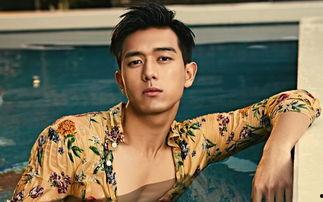 秦海璐娱乐吃瓜