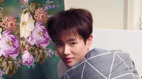 范丞丞娱乐吃瓜酱,揭秘娱乐圈背后的那些事儿